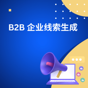 B2B 企业线索生成