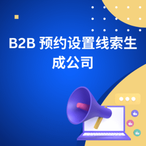 B2B 预约设置线索生成公司