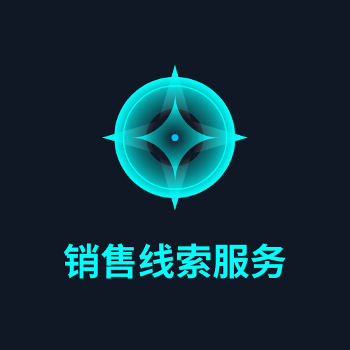 销售线索服务