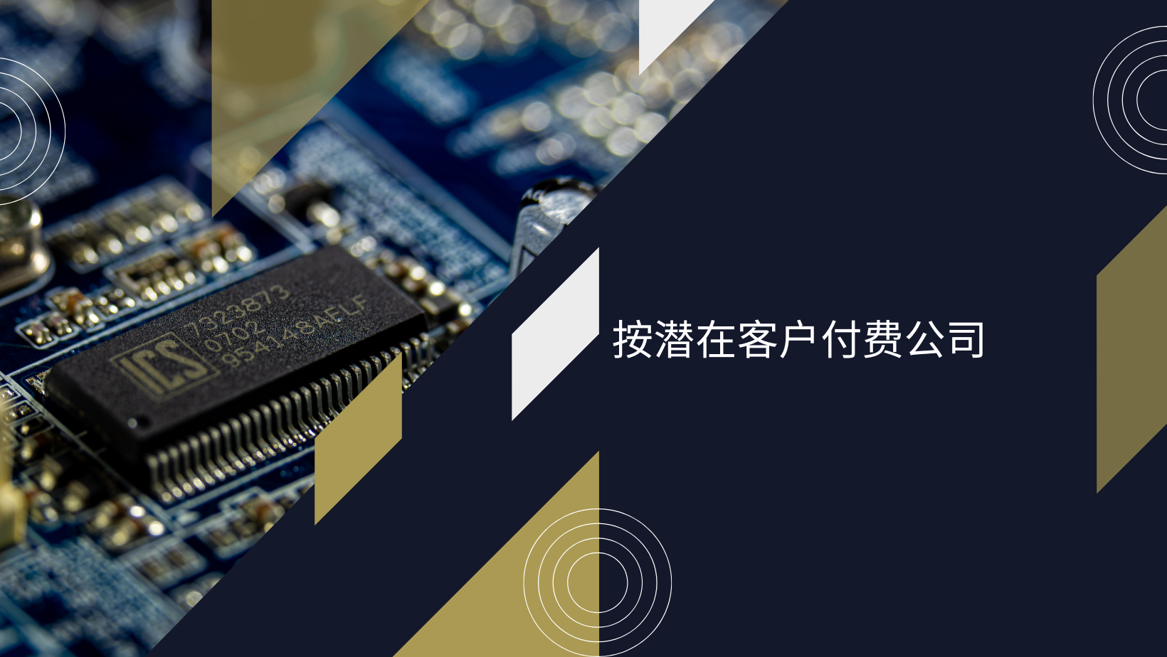 按潜在客户付费公司